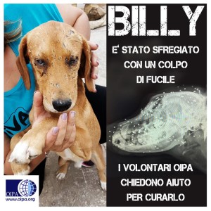 billy