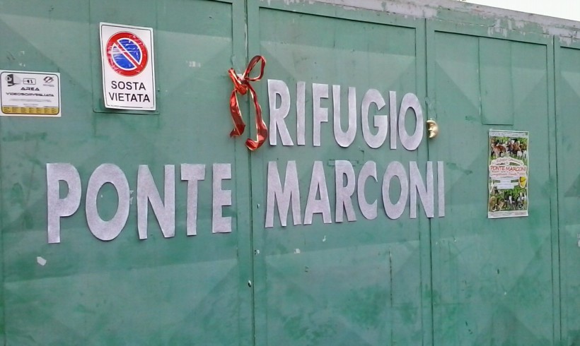 Roma, all’ex Cinodromo cani abbandonati a se stessi. Allarme Avcpp