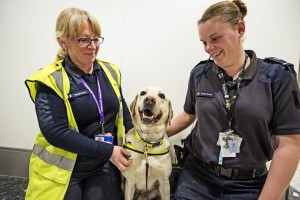 Gli sniffer dog sono uno strumento prezioso di contrasto al traffico di specie selvatiche