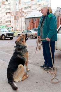 Vladimir e Yan insieme