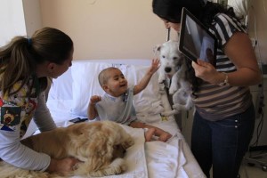 Ecuador Therapy Dogs