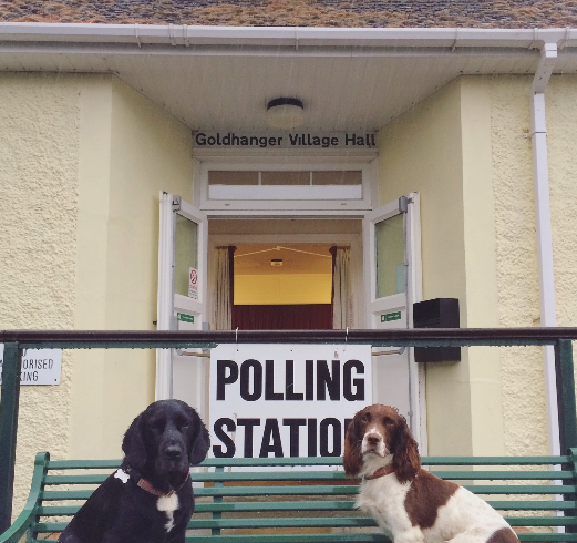 Nella Brexit c’è un lato con la coda: cani ai seggi referendari per caso nella fotogallery di qualazampa.news