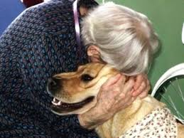 “Questa è una vecchia amicizia”: comune di Padova e sindacati pensionati con Lav per la campagna adozioni di cani (e gatti) adulti