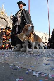 Venezia pensa al decoro: multissime a chi non raccoglie la popò di Fido