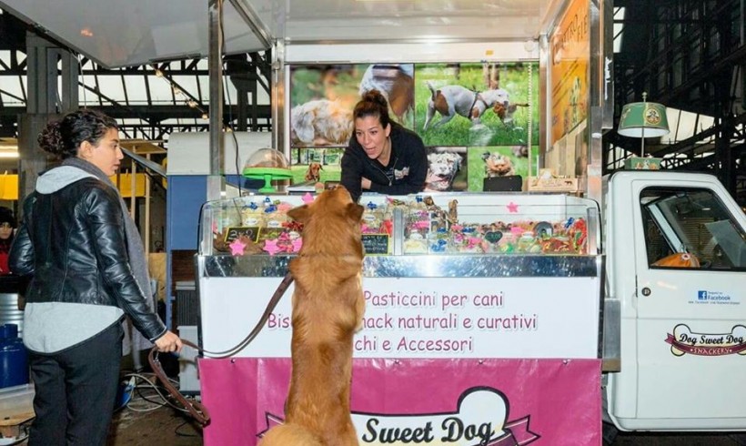 Con Dog Sweet Dog lo street food è a misura di cane