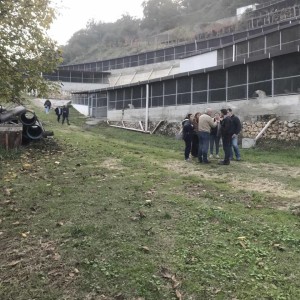 Un momento del sopralluogo. Tutte quelle gabbie sono zeppe di cani