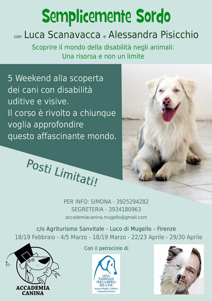 Prossimi Eventi Semplicemente Sordo Arriva In Mugello Con Accademia Canina Qua La Zampa