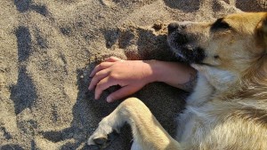 Cariddi dorme sul braccio dell'autrice