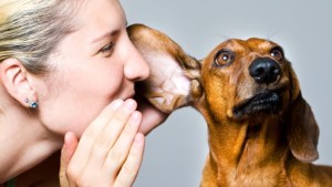 Il 'baby talk' funziona, ma solo coi cuccioli