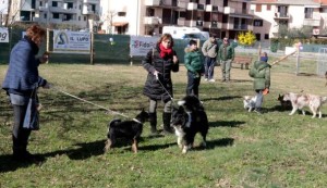 area cani ponte a elsa