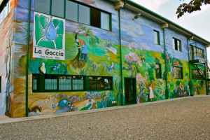 L'esterno dell'ecoparco canile di Pozzo d'Adda