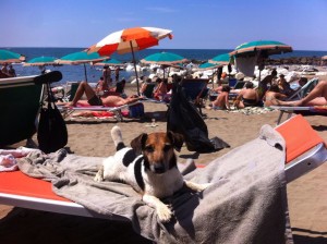 mare spiaggia zeno