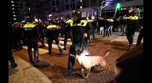 Anche i cani nella crisi Turchia-Olanda: Erdogan protesta contro i poliziotti a quattro zampe della polizia di Rotterdam