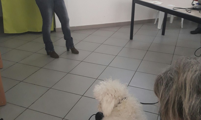 Il cane in famiglia – Sai comuniCANE? I segnali tra cani in videopillola con l’istruttore cinofilo qualificato Sonia Di Palma