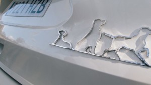 nissan-xtrail-4dogs-concept-hero