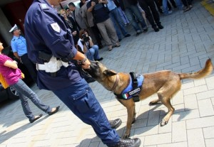 Axel con il suo conduttore