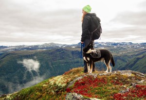 cane-montagna-trekking-escursione