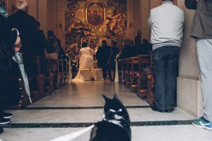 Lucky in fondo alla navata. Foto: © www.weddingdogsitter.com (riproduzione vietata)