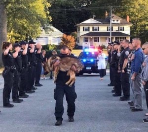 Hunter in braccio al suo conduttore nell'ultimo viaggio, verso il veterinario