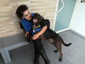 Il cane Dodo oggi ha il muso della felicità