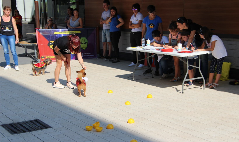 Panini in salvo! A Orzinuovi i SuperDog sventano attacco alieno. Da McDonald’s successo della kermesse a 6 zampe di My Pet’s Hero