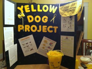 the-yellow-dog-project-e-un-movimento-globale-basato-sul-passaparola-the-yellow-dog-project_facebook