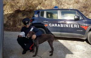 bracco-tedesco-carabinieri-saludecio