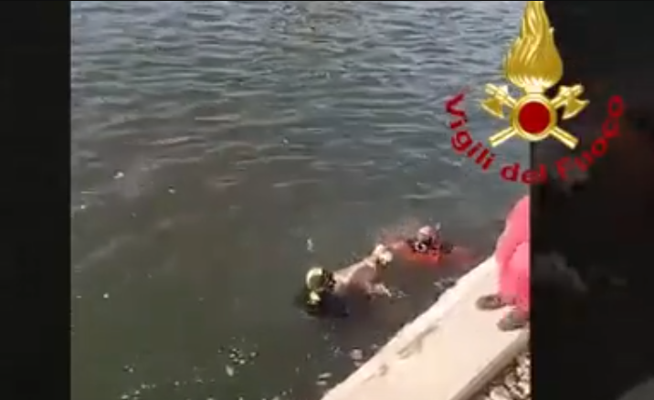 Cane maldestro finisce nel fiume – VIDEO